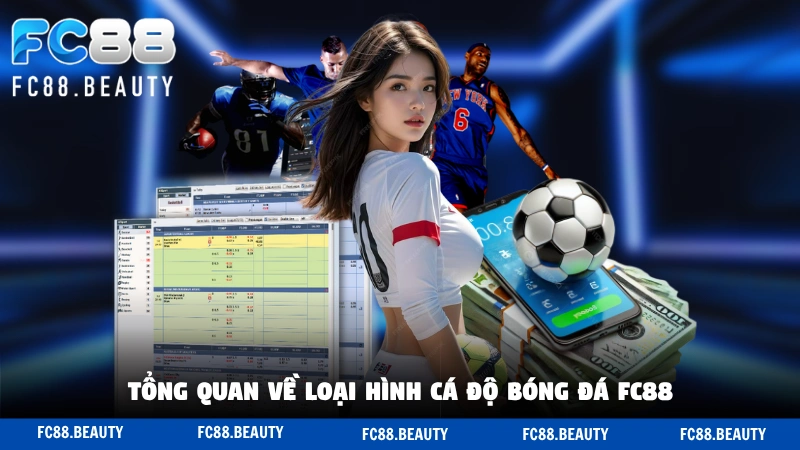 Tổng quan về loại hình cá độ bóng đá FC88