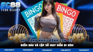 Mơ Đánh Nhau Đánh Con Gì? Điềm Báo Và Cặp Số May Mắn Đi Kèm