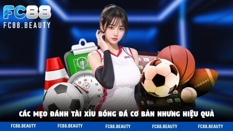 Các mẹo đánh tài xỉu bóng đá cơ bản nhưng hiệu quả